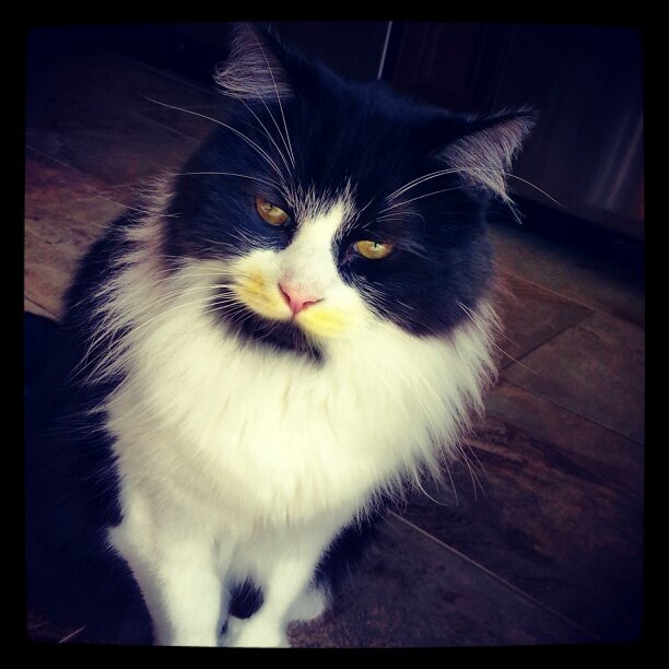 ChantalTrudeau1's profile picture. 