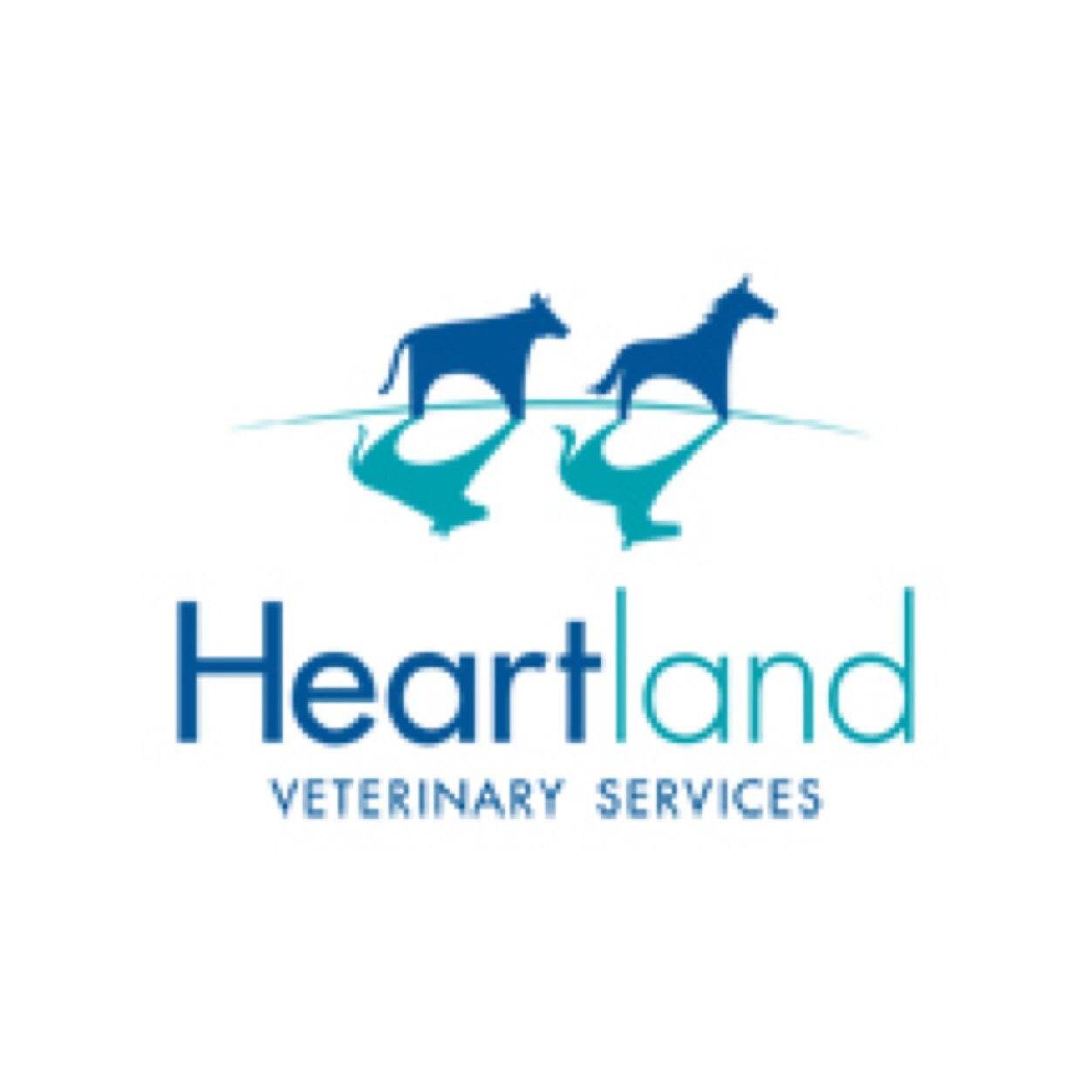 Veterinary care for animals of all sizes! 

Offices in Listowel, Mount Forest and Drayton.