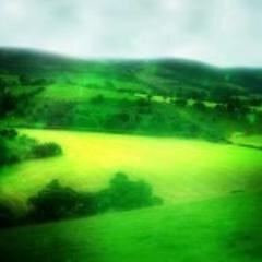 AbiyramGonzalez's profile picture. 10 years  # Typical bacon evangelist -ideas...General organizer .