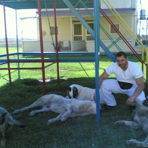 veterinary surgeon, naturopathist, homeopathist, nutrition, athlete
