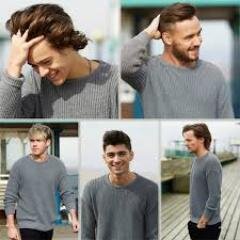 5 boys collide together, 4 British and 1 Irish, A Boyband, And they are known as ONE DIRECTION