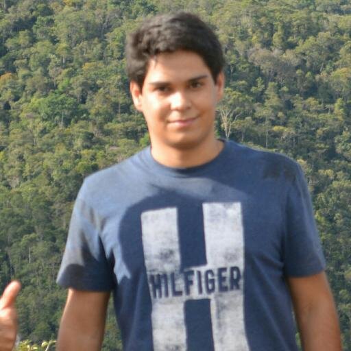 Formação superior e atuação na área de Tecnologia da Informação.