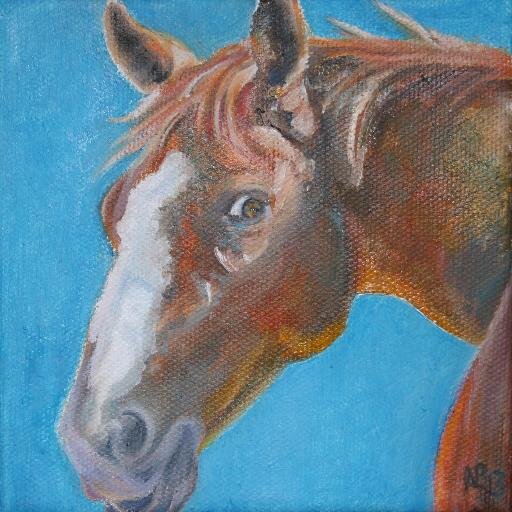 Equine photographer, Artist, Mother, Wife - not necessarily in that order! Love my garden too...