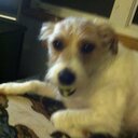 shari james - @mizrookie - Twitter