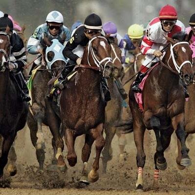 An Ardent Horse Lover And Racing Enthusiast.