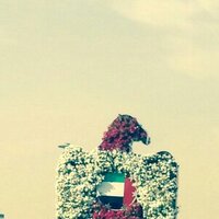 الحساب امهكر (@hftcsugxdh) 's Twitter Profile