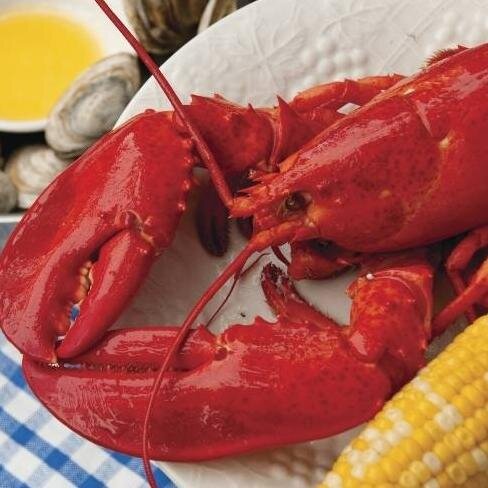 Campobello Island -See the Whales,Roosevelt Campobello International Park, Hike, Kayak, Lighthouses, Lobsters, Restaurants, Shopping, Bay of Fundy. Come visit !