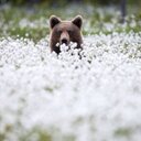 JK smith - @KsmithJK - Twitter