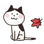 痩せたけど食べたい！ずっと寝てたい！成人したって大人になんてならないのさっ