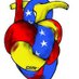 venezolana (@florianacedeno) Twitter profile photo