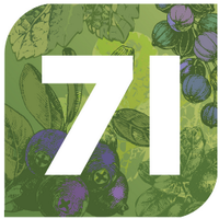 Gin71 (@gin71bar) 's Twitter Profile