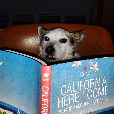 JaimeBarcelone's profile picture. 