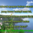 Jamilmeru's profile image