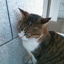 S.Rにゃーーん (@0325s16) Twitter