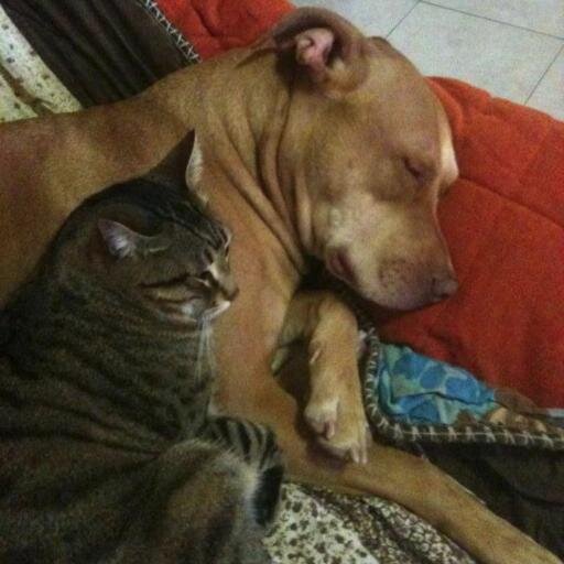 holson111's profile picture. 