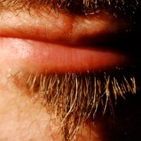 basswulf (@basswulf) 's Twitter Profile Photo