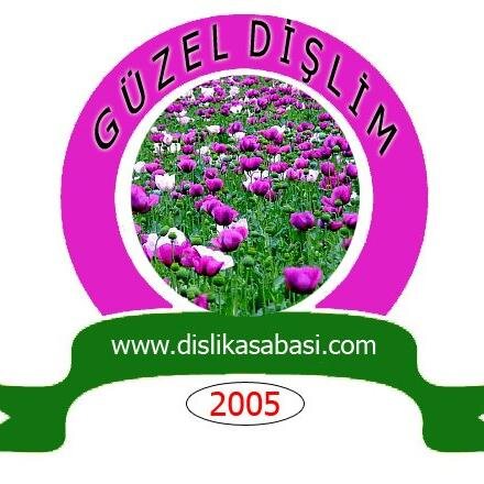 Güzel Dişlim - Dişli Kasabası Güncel Haber