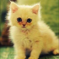 domag2's profile picture. #ВзаимноЧитаю #ВзаимныйФолловинг #Школа #Спорт #Путешествие #Общние #АктивныйОтдых