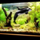 juan farrell - @juan_farrell - Twitter