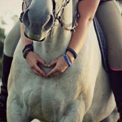 Horse account | Empezarás a disfrutar cuando dejes de tener miedo.