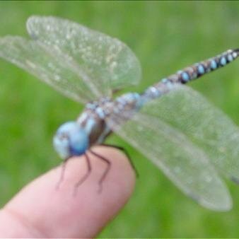 jcrugg59's profile picture. 