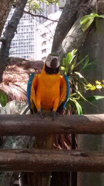 virzoppi's profile picture. 