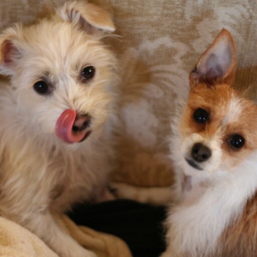 mmo125's profile picture. 