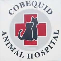 We are a full service veterinary practice, committed to providing the best possible care for your companion animals.
Located in Lower Sackville, Nova Scotia.