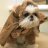 Jey_1212's profile image