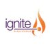 Ignite Glass Studios (@igniteglass) Twitter profile photo