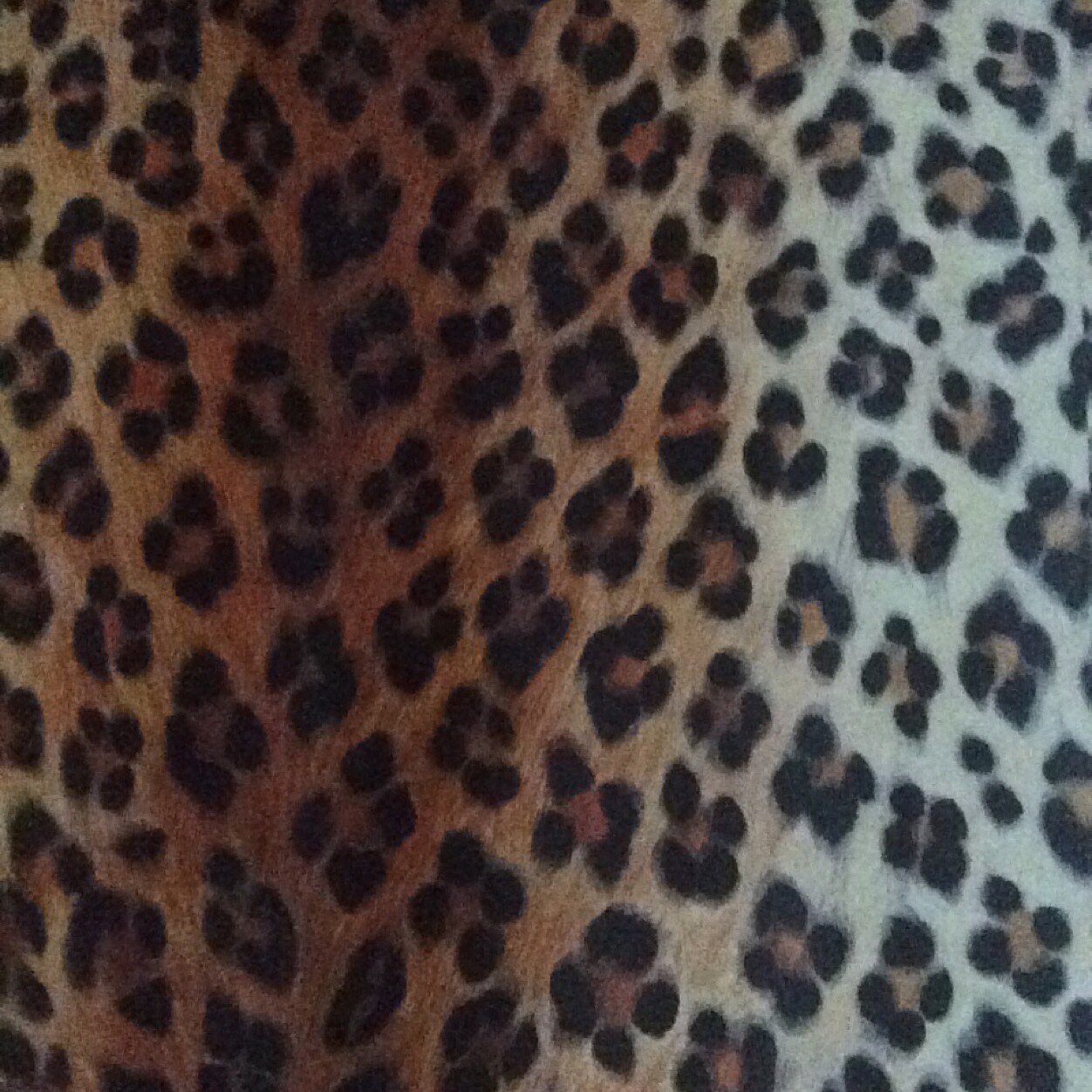 Love to sleep. #teamtenor. -Sporty. Lover of print de leopard haa. #SkyIsTheLimit
