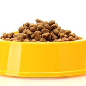 CroquetteGratis's profile picture. 