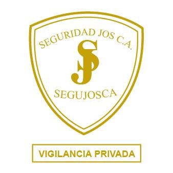 Empresa dedicada a la prestación de servicios de vigilancia privada y protección de propiedades.