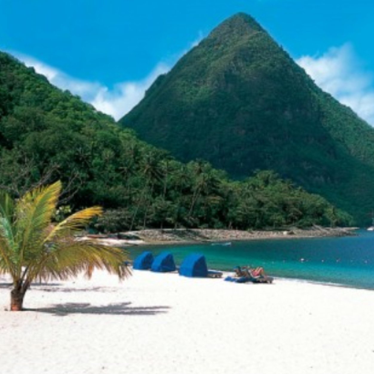 Shipwrecked on the Caribbean sounds fun or not?