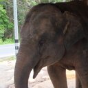 Thomas Jakob - @frustpur - Twitter