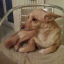 barbara muratori - @MuratoriBarbara - Twitter