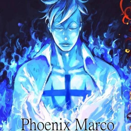 Comandante de la Primera División de los Piratas de Barbablanca| habilidad de su Zoan Mítica,que me permite transformarme en un fénix.| #SpanishFakeOnePiece