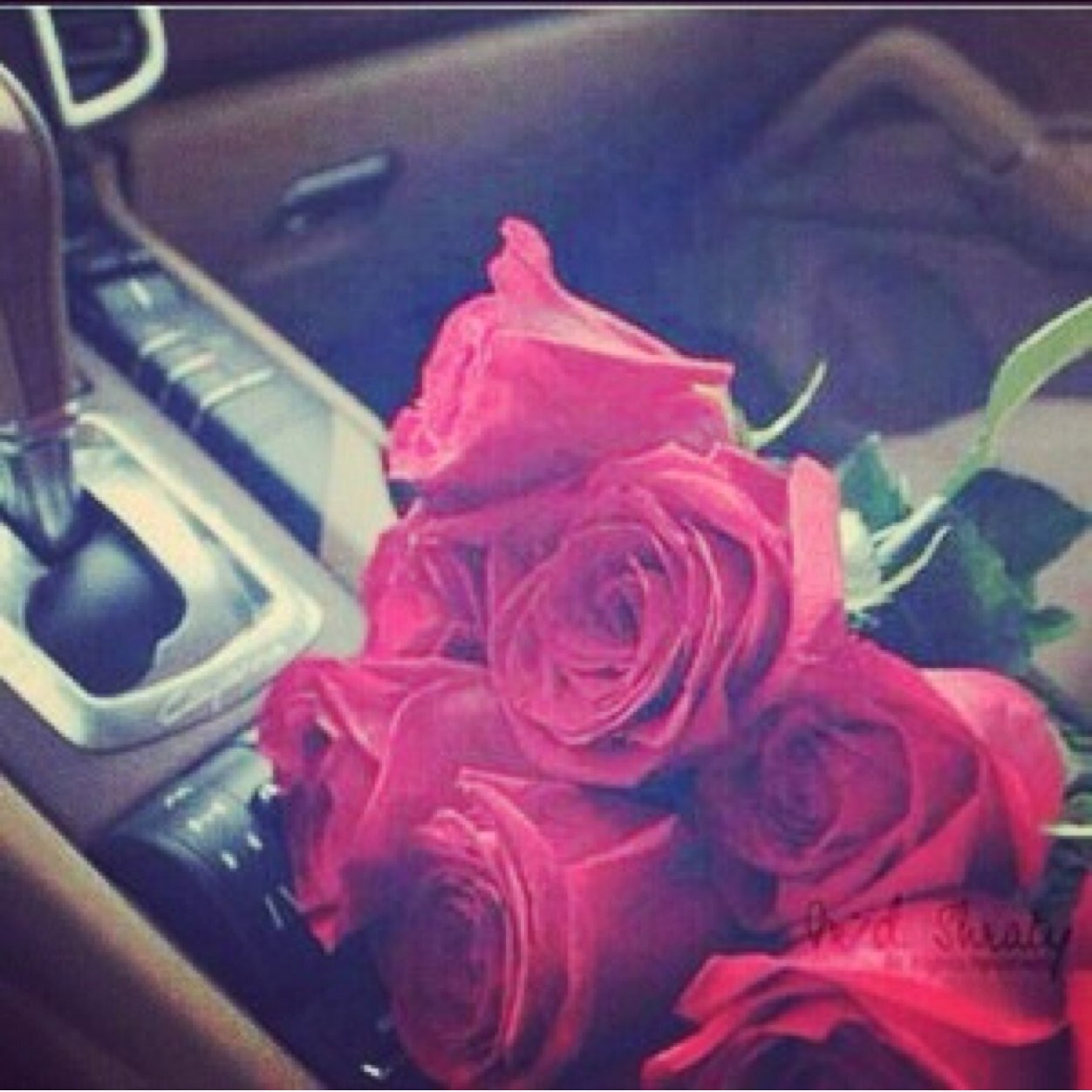 hihgik's profile picture. 