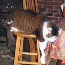 beth bobo - @beth4re - Twitter