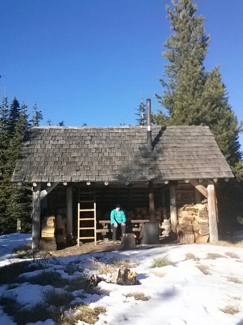 bigbearwimmer's profile picture. 