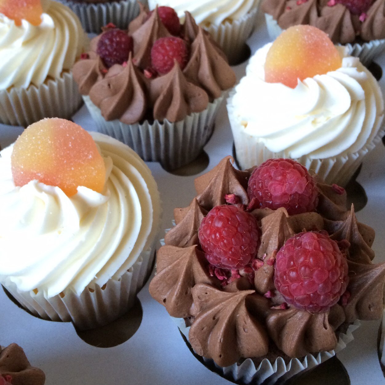 If there's a reason to celebrate, there's an Angelic Cupcake just desperate to join in the party...