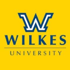 Be a leader. Advance your career. Excel in a new one. Whatever your professional goals, the #WilkesMBA can help you get there.