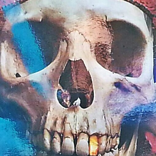 bobbyjouster's profile picture. Just living the good life!I love the curves!  Fun in the Sun! Fast cars,Loud guitars, &nothin wrong with some medicinal marijuana!...................TAKEN..