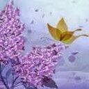 Deb Baker - @DebShortshot - Twitter