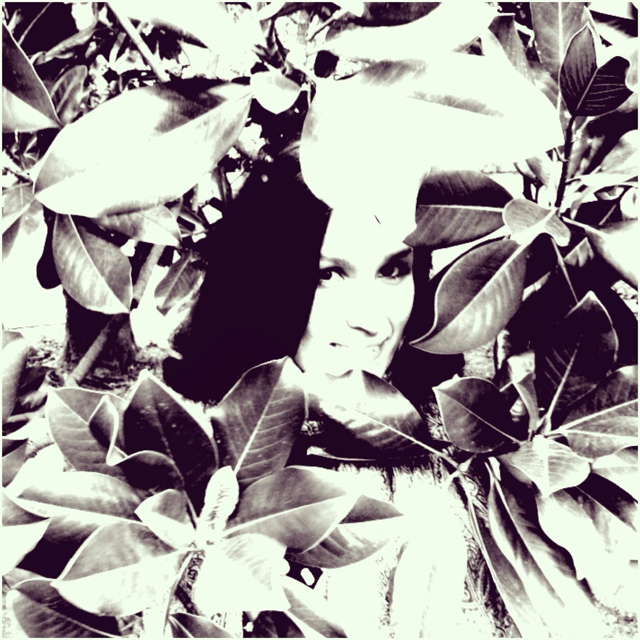 PushinkaY's profile picture. 