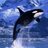 alhoot88's profile image