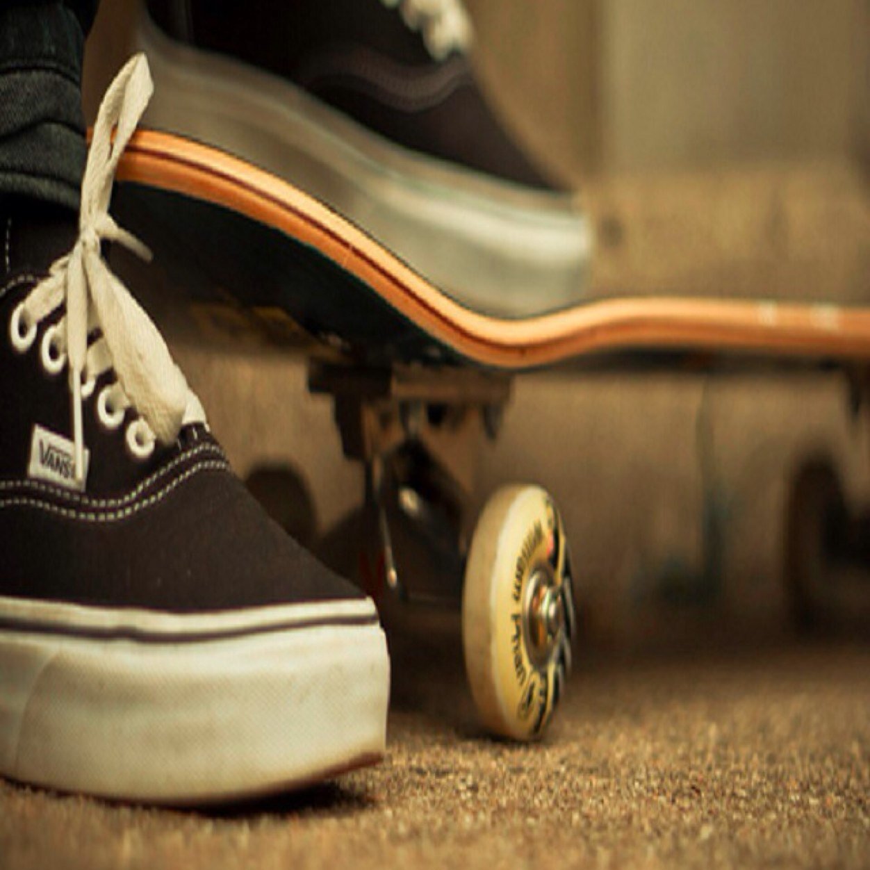 cplkszlr's profile picture. Yeni hesap.