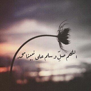 سبحان الله وبحمده ، سبحان الله العظيم .
@alroh_hayate