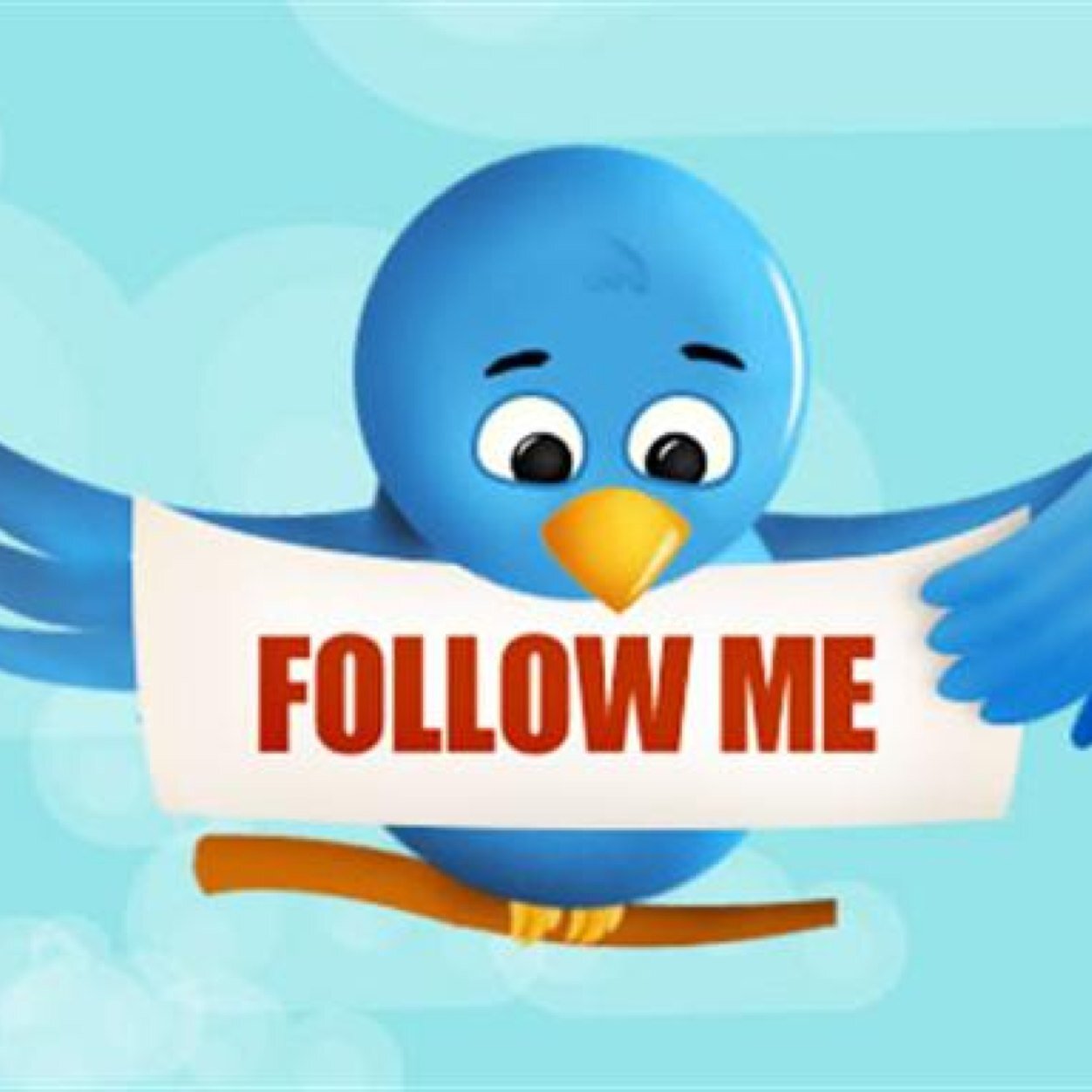 Follome and @D4VE_RE1D I Need 10,000 followers please

Shoutout just retweet my last pic please