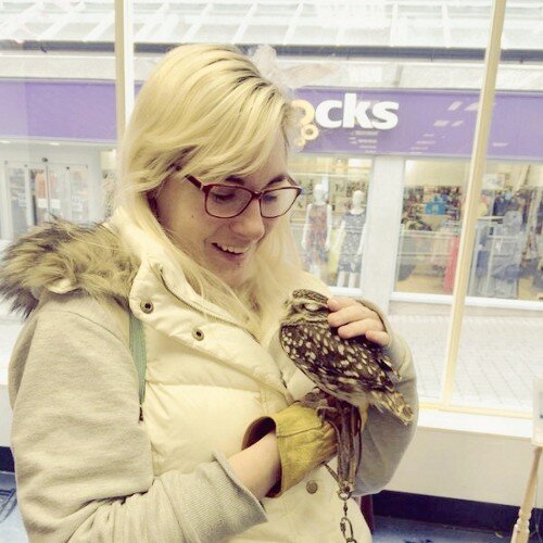 alicemmooney's profile picture. 